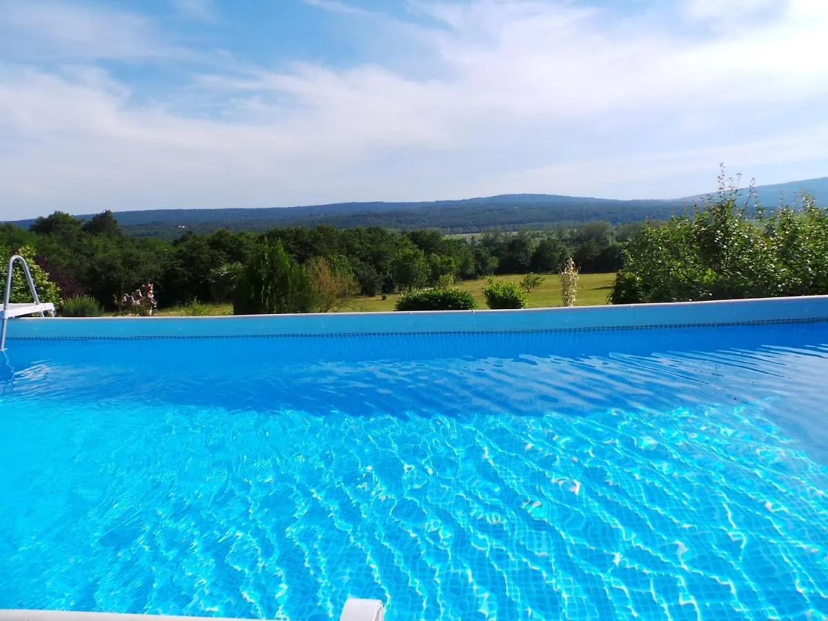Family Friendly Apartments With A Swimming Pool Cepic, Central Istria - Sredisnja Istra - 15878 Kršan